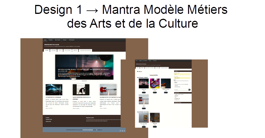 SITE VITRINE/BOUTIQUE EN LIGNE