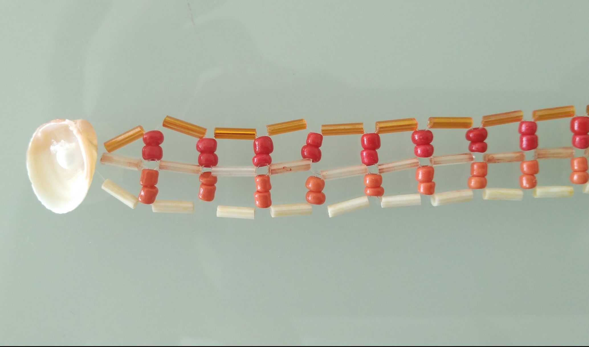 PERLE DE L'OCEAN – Image 3