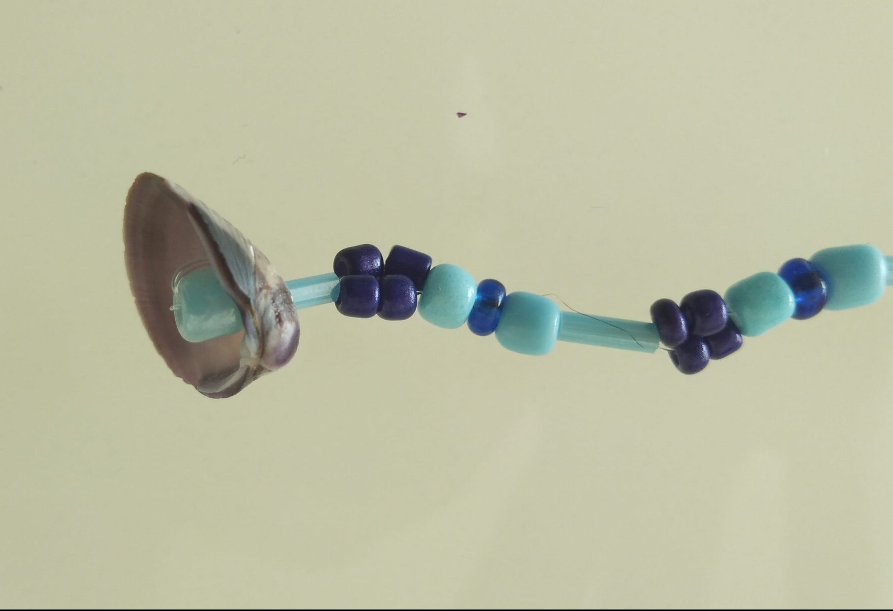 OUTREMER – Image 2