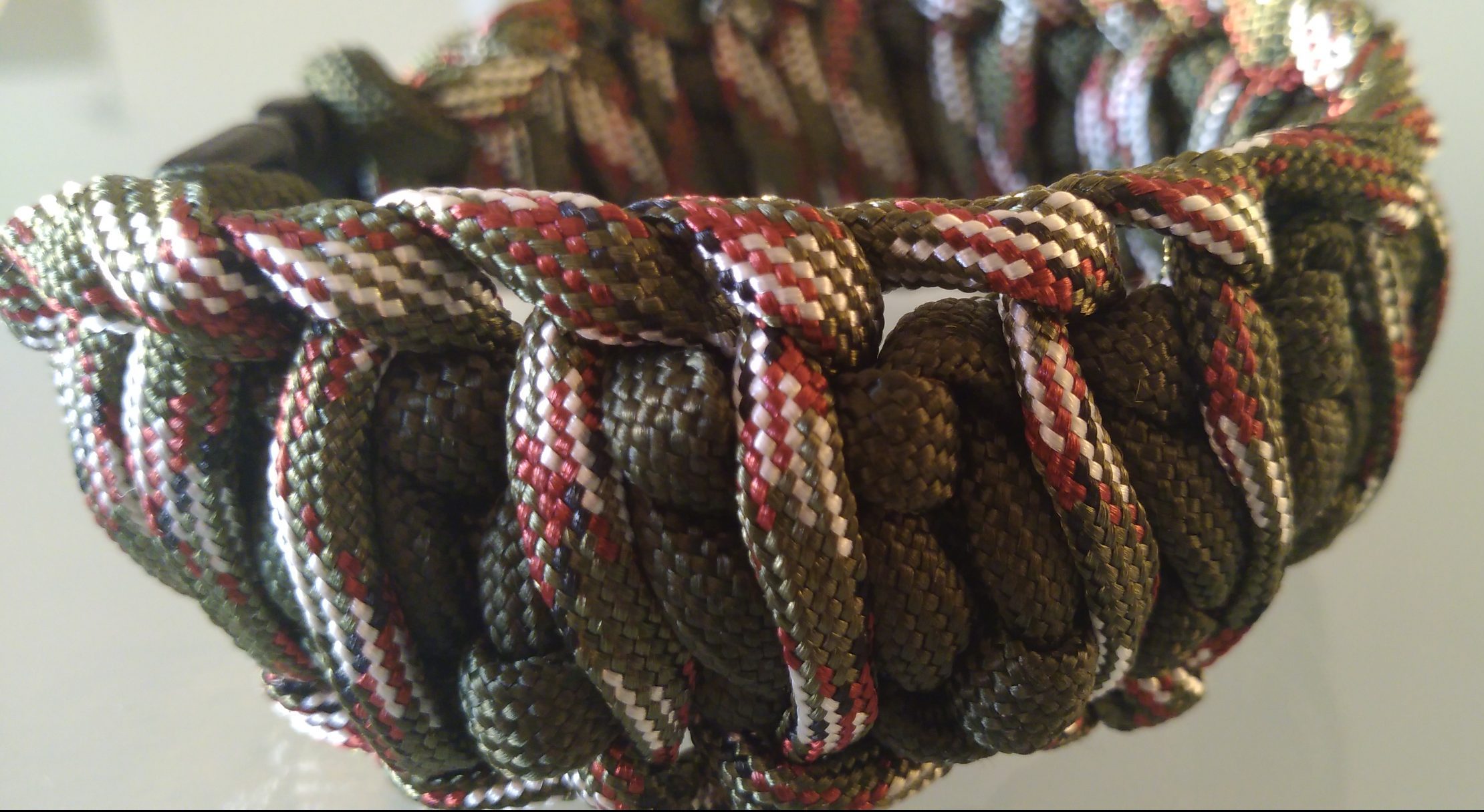 AMAZONIE – Image 3