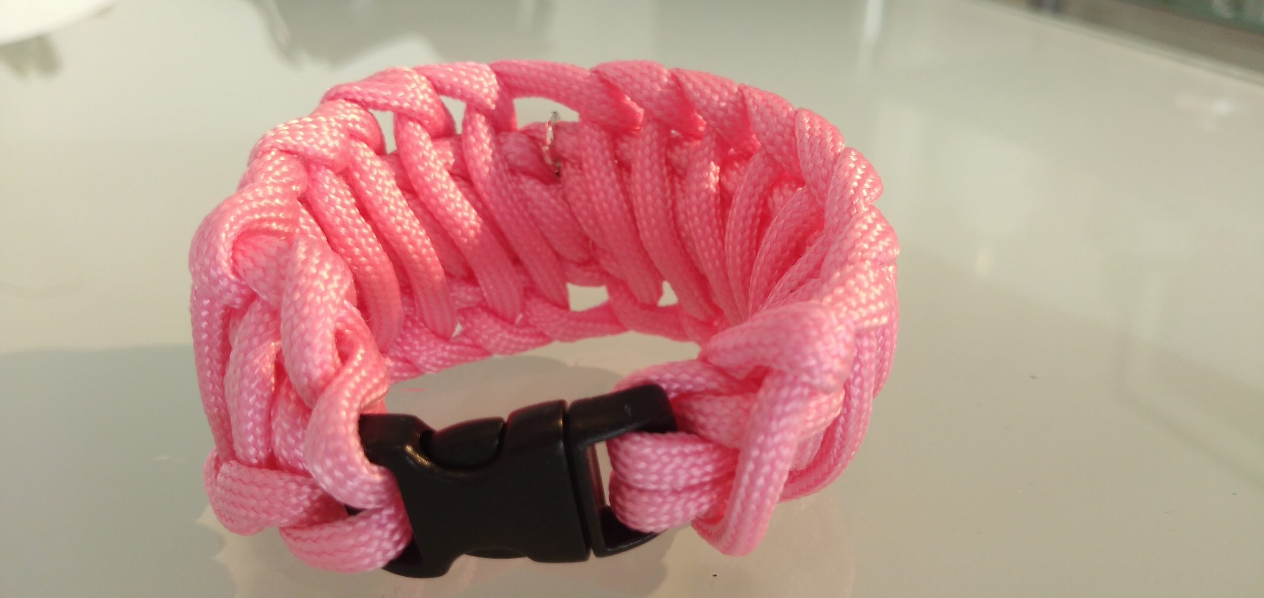 L'EXPLORATRICE – Image 4