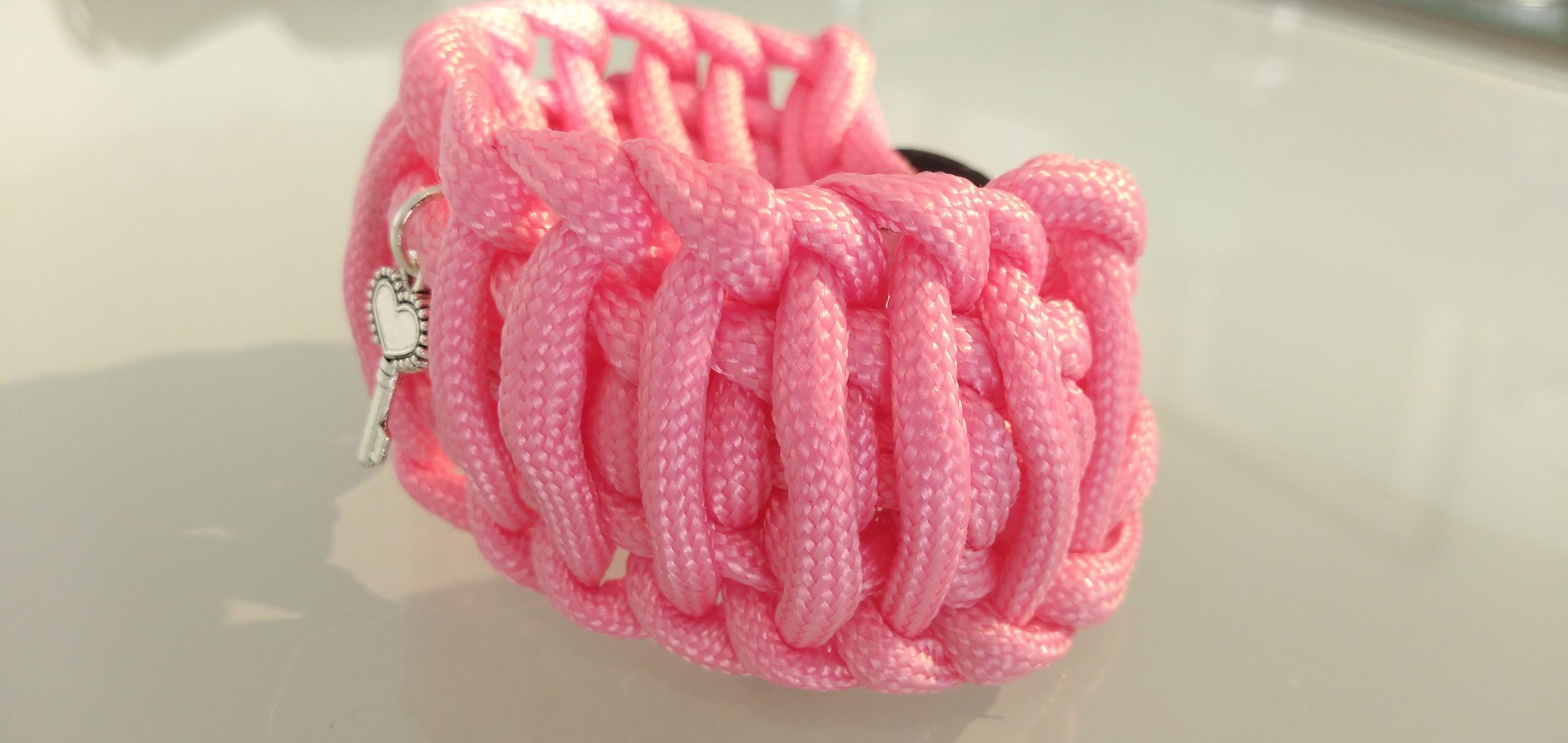 L'EXPLORATRICE – Image 3