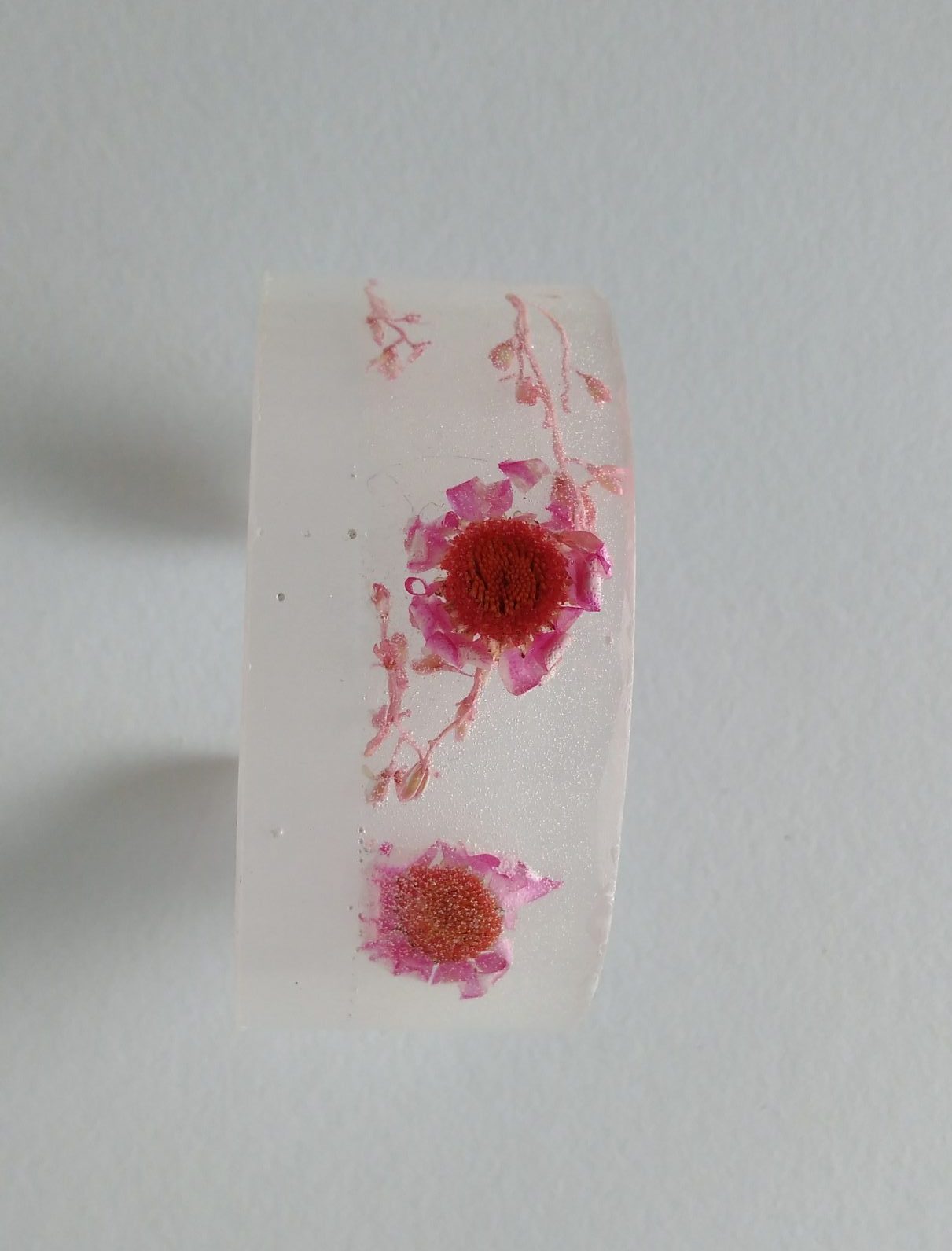 PÂQUERETTES – Image 2