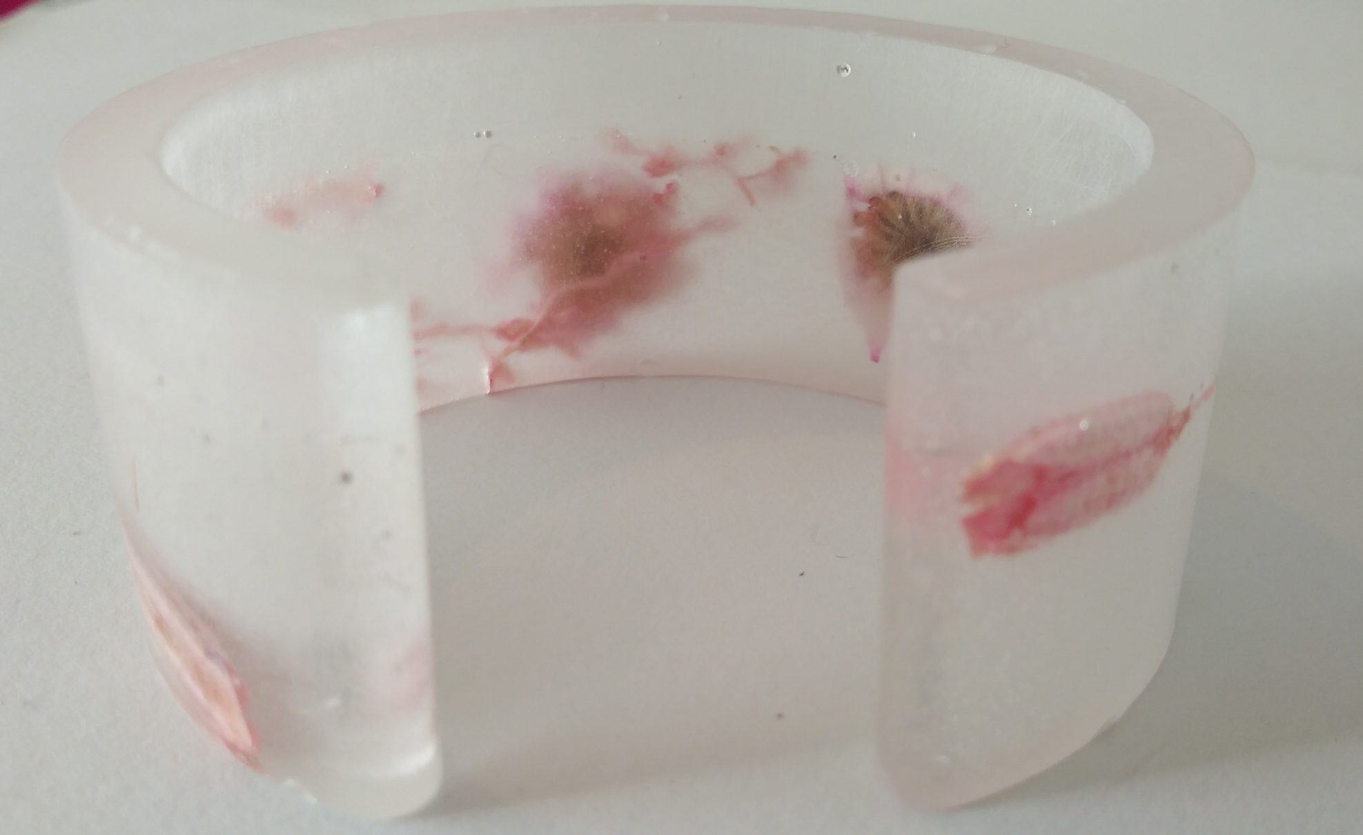 PÂQUERETTES – Image 4