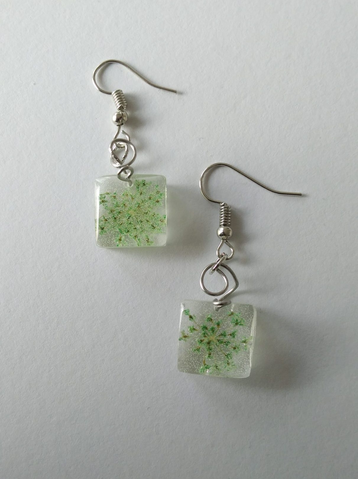 FLEURS DE PRAIRIE – Image 5