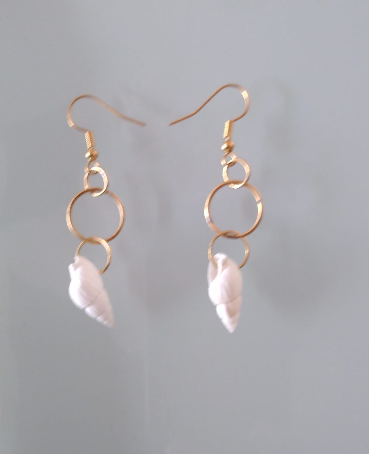 COQUILLAGES – Image 2