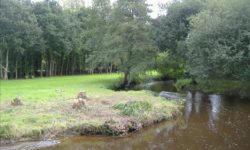 belle-isle-en-terre